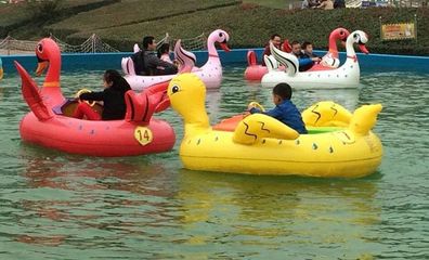 恐龙碰碰船 儿童水上游乐首选，安全与乐趣的完美结合
